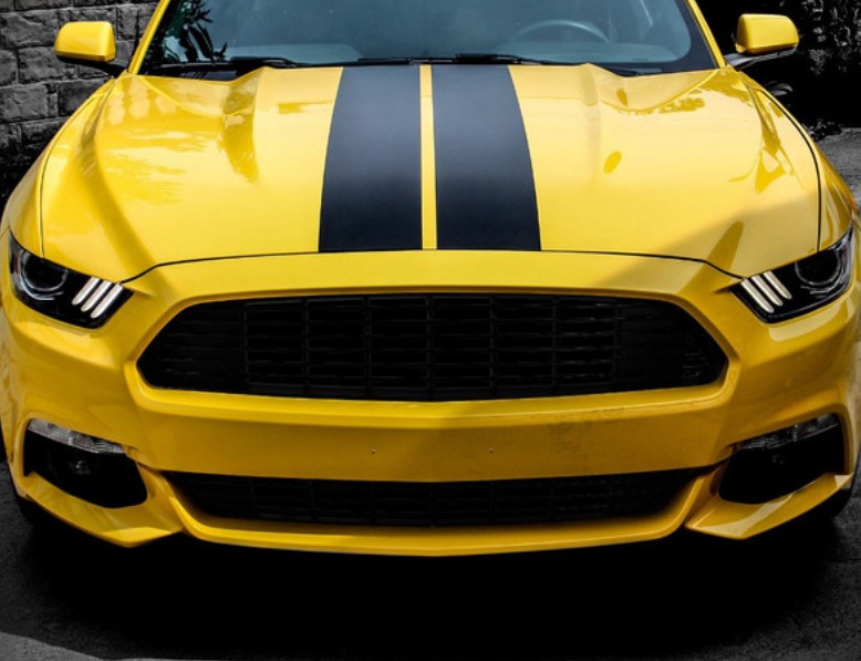 ცხაური MUSTANG 2018-2022 ზედა (CA)